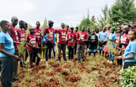 Join the Trees for Merit Tree-Planting Week