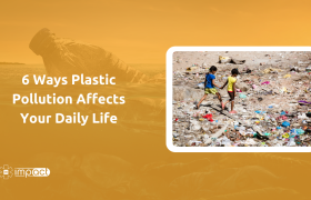 6 Ways Plastic Pollution Affects Your Daily Life