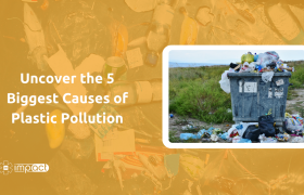 Uncover the 5 Biggest Causes of Plastic Pollution